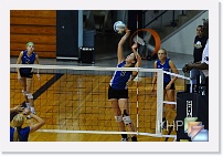 vs Seaman * (144 Slides)